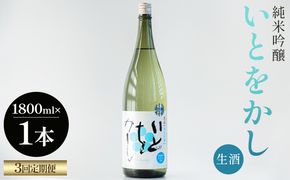 【３回定期便】純米吟醸いとをかし生酒一升瓶 1800ml×1本 - お酒 日本酒 米 飲み物 飲料 晩酌 アルコール フルーティー 国産 晩酌 特産品 ギフト 贈り物 プレゼント 贈答用 御礼 乾杯 