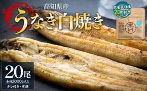 国産うなぎ 高知県産 白焼き 20尾(100～110g×20尾) 合計2kg以上 田野町完全天日塩 20g付き 黒箱 yw-0088