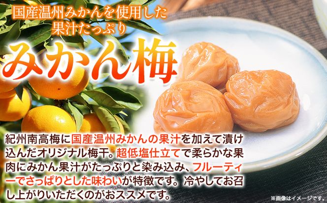 高級南高梅みかん梅 1kg 網代模様仕上紀州塗箱入り 澤株式会社《90日以内に出荷予定(土日祝除く)》和歌山県 日高町 梅干し みかん みかん梅 紀州南高梅 紀州塗 送料無料---wsh_swknum_90d_22_20000_1kg---