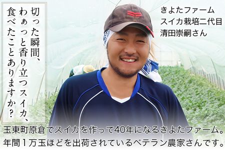 『きよたファーム』のすいか 1玉約8～10kg 熊本県玉名郡玉東町『きよたファーム』すいか フルーツ 果物 熊本県産《5月上旬-6月末頃出荷》---sg_kfsuika_af5_25_12500_1p---