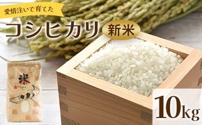 愛情注いで育てたコシヒカリの新米 10kg td-0009