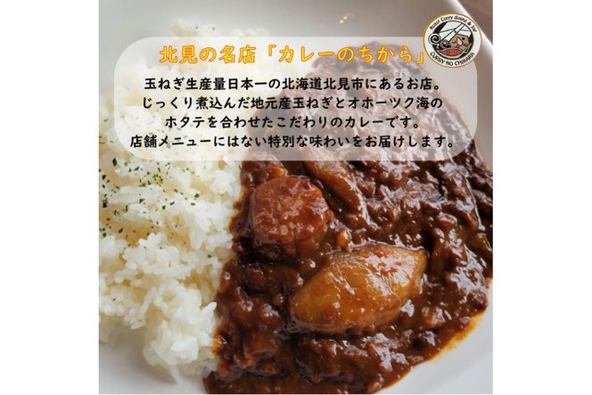 濃厚！ほたてと玉ねぎのカレー10食分 ( 加工品 レトルト カレー 海鮮 ホタテ バター 辛さもマイルド 人気 カレー専門店 )【141-0013】