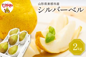 【2026年産】 西洋梨 シルバーベル 2kg 秀品 化粧箱入り 山形県 東根市 東根農産センター提供 hi027-199-r8