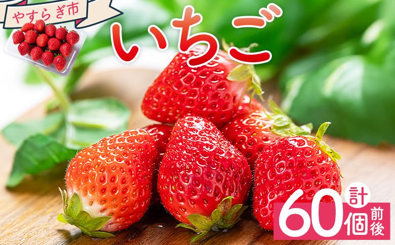 いちご 4パック(各パック15〜18個) 計60個程度 - いちご イチゴ 苺 ストロベリー 青果 果物 採れたて 新鮮 フルーツ あまえくぼ さちのか 紅ほっぺ べにほっぺ やすらぎ市 高知県 香