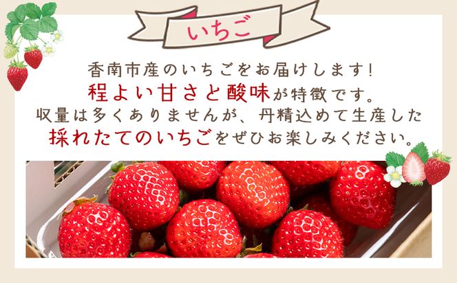 いちご 4パック（各パック15～18個） 計60個程度  - いちご イチゴ 苺 ストロベリー 青果 果物 採れたて 新鮮 フルーツ あまえくぼ さちのか 紅ほっぺ べにほっぺ やすらぎ市 高知県 香