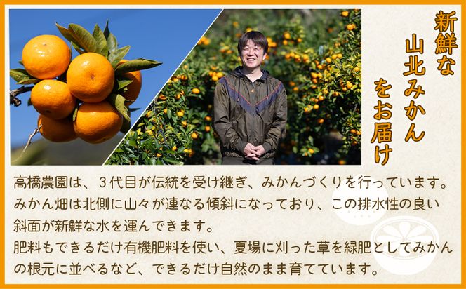 山北みかん 約5kg（露地・S～Mサイズ）- 果物 フルーツ 柑橘 先行予約 おすそ分け ギフト のし 配送日指定不可 数量限定 期間限定 季節限定 送料無料 高橋農園 高知県 香南市 th-0008