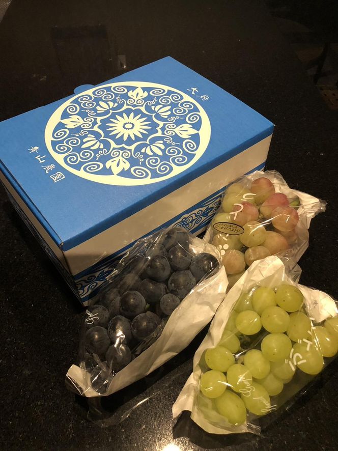 【先行予約】【数量限定】 ぶどう 詰め合わせセット 約2kg 〔2026年8月上旬より順次発送〕 232238_CU001-PR