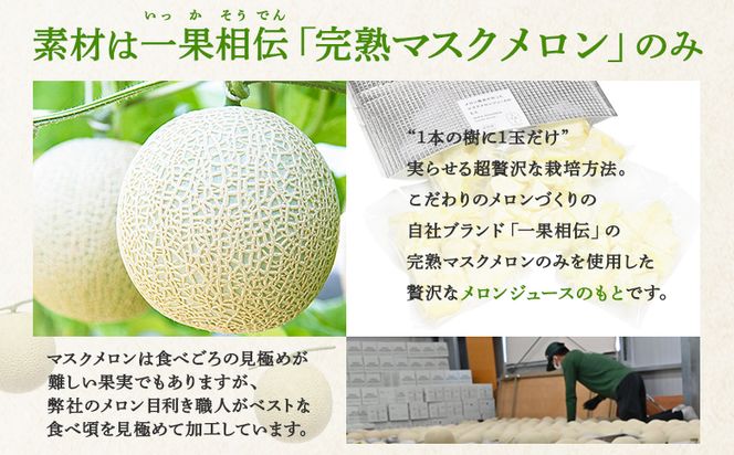 【2回定期便】メロンジュースのもと 約800ｇ 約165g×5パック - 国産 マスクメロン 完熟 飲み物 飲料 甘い フルーツジュース ジュース スムージー カットメロン アレンジ Wtn-0033