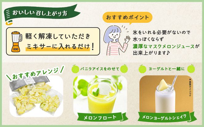 【2回定期便】メロンジュースのもと 約800ｇ 約165g×5パック - 国産 マスクメロン 完熟 飲み物 飲料 甘い フルーツジュース ジュース スムージー カットメロン アレンジ Wtn-0033