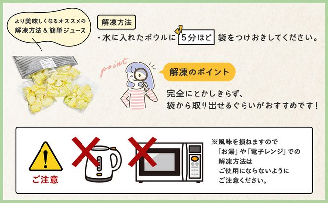 【2回定期便】メロンジュースのもと 約800ｇ 約165g×5パック - 国産 マスクメロン 完熟 飲み物 飲料 甘い フルーツジュース ジュース スムージー カットメロン アレンジ Wtn-0033