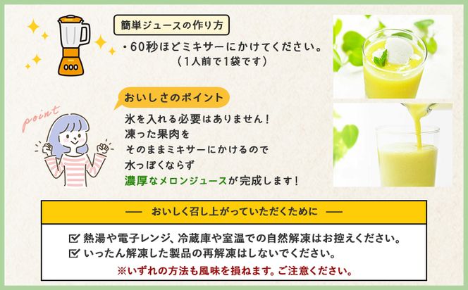 【2回定期便】メロンジュースのもと 約800ｇ 約165g×5パック - 国産 マスクメロン 完熟 飲み物 飲料 甘い フルーツジュース ジュース スムージー カットメロン アレンジ Wtn-0033