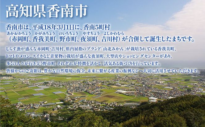 寄附のみの応援受付(返礼品はございません) 高知県 香南市 返礼品なし 寄付 ky-02