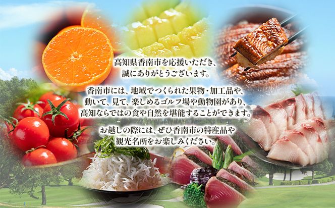 寄附のみの応援受付(返礼品はございません) 高知県 香南市 返礼品なし 寄付 ky-02