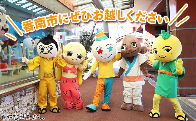 寄附のみの応援受付(返礼品はございません) 高知県 香南市 返礼品なし 寄付 ky-05