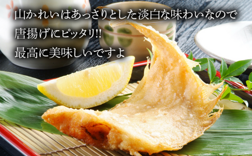【干物 甘干し山かれい2kg（15枚入り）干物の本場 香住産 冷凍】発送目安：入金確認後、順次発送いたします。兵庫県 香美町 ふるさと納税 蔵平水産 08-06