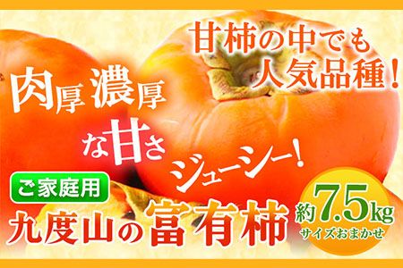 先行予約[ご家庭用]柿の名産地 九度山の富有柿約7.5kg 厳選館 [2024年11月上旬-12月下旬頃出荷] 和歌山県 日高川町 柿 カキ かき ジューシー フルーツ---iwshg_tmt111_ab1112_23_17000_75---