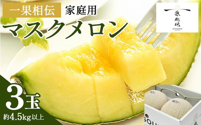 一果相伝マスクメロン家庭用 3玉入り - 果物 くだもの フルーツ めろん 青肉 デザート スイーツ ご自宅用 ジューシー 果汁 芳醇 幸せ 至福 美味しい 甘い あまい 篤農 tn-0029