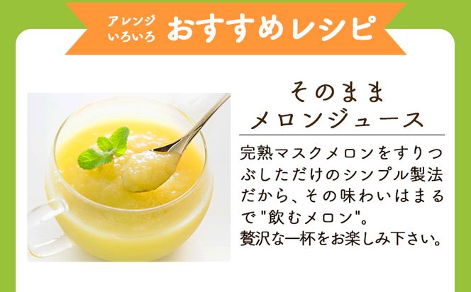 【3回定期便】完熟マスクメロンピューレ 120g×6袋 - JALファーストクラス機内食に採用 果物 くだもの フルーツ めろん 果汁100％ まるごと アイス シャーベット デザート スイーツ 篤農