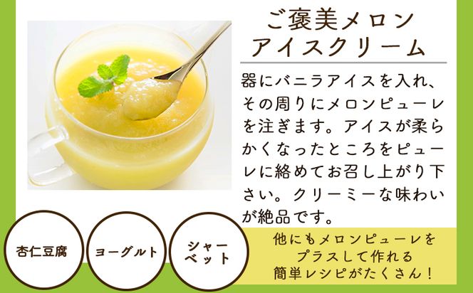 【3回定期便】完熟マスクメロンピューレ 120g×6袋 - JALファーストクラス機内食に採用 果物 くだもの フルーツ めろん 果汁100％ まるごと アイス シャーベット デザート スイーツ 篤農