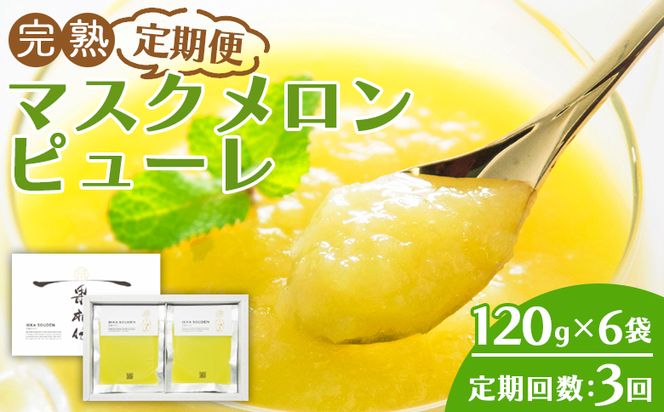 【3回定期便】完熟マスクメロンピューレ 120g×6袋 - JALファーストクラス機内食に採用 果物 くだもの フルーツ めろん 果汁100％ まるごと アイス シャーベット デザート スイーツ 篤農