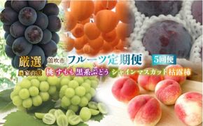 笛吹市産　厳選!農家直送「フルーツ定期便5回便」 205-013