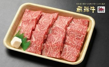 48.A4〜A5等級「飛騨牛 ロース 500g 焼肉用」 冷蔵配送・焼肉