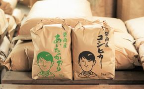 【幻の潮かぶり米】令和6年産新米 あいちのかおり&コシヒカリ2品種 食べ比べ10kg（5kg×2袋） 米 コメ 新米 あいち 愛知 かおり コシヒカリ こしひかり 予約 予約受付 H073-005