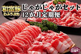 ＜12か月定期便 和富豚 じゃがじゃがセット 1.7kg＞翌月末迄に第一回目発送【豚肉 下ロース 豚バラ スライス 豚モモ 切落とし お楽しみ 株式会社エムツー国富店 宮崎県 国富町】【a0316_em_x3】