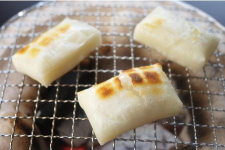 【令和7年産米】「〆張もち」と新潟県村上市岩船米コシヒカリ10kgセット　D4020