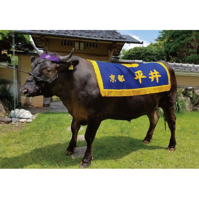 ys{TszX̗_ɋPō јau䋍ꓪvHׂ I ̌ s Ogq ƎY  ʌ   Y Ă Xe[L Ԃ   ւ̔zs