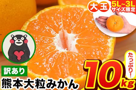 みかん 訳あり 大粒 ミカン 10kg 10キロ 熊本 ちょっと 訳あり 傷 5L〜3Lサイズ 約10kg たっぷり 熊本県産 熊本県 期間限定 フルーツ 旬 柑橘 ご家庭用 長洲町 大粒[2026年1月中旬-2月末頃出荷]---fn_notbmkn_bc1_r7_12000_10kg---