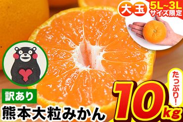 みかん 訳あり 大玉 ミカン 10kg 10キロ 熊本 ちょっと 訳あり 傷 5L～3Lサイズ 約10kg たっぷり 熊本県産 熊本県 期間限定 フルーツ 旬 柑橘 ご家庭用 長洲町 大粒《2024年1月中旬-2月末頃より出荷予定》---fn_notbmikan3_bc1_23_8500_10kg---