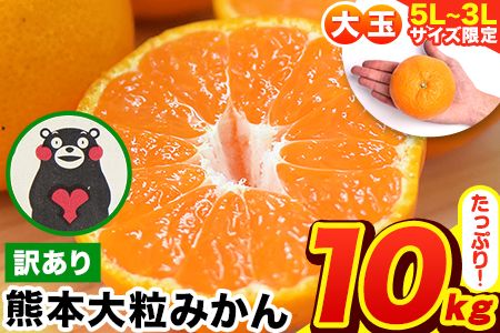 みかん 訳あり 大粒 ミカン 10kg 10キロ 熊本 ちょっと 訳あり 傷 5L～3Lサイズ 約10kg たっぷり 熊本県産 熊本県 期間限定 フルーツ 旬 柑橘 ご家庭用 長洲町 大粒《2025年1月中旬-2月末頃より出荷予定》---fn_notbmkn_bc1_25_13000_10kg---