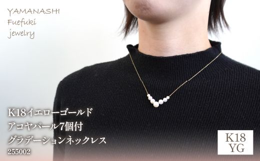 yRJszK18CG[S[h@ARp[7tOf[V@lbNX@Ǘԍ255002 218-099