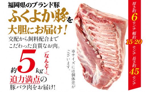 ふくよか豚バラブロック約5kg 豚バラブロック 豚バラブロック肉 豚肉 ブタ肉 豚 豚バラ ブロック肉 塊肉 自家製ベーコン チャーシュー しゃぶしゃぶ 角煮 燻製 煮込み料理 ふくよか豚 焼き鳥 サムギョプサル 冷蔵