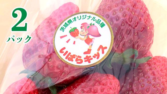 茨城県産 いちご 「 いばらキッス 」 2パック イチゴ 果物 フルーツ 新鮮 旬 果実 [AM123us]