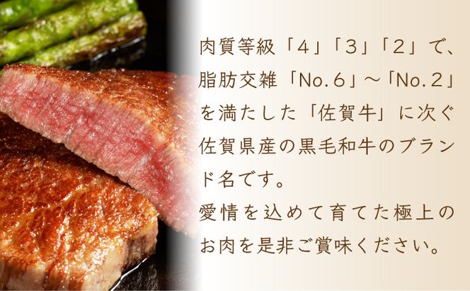 120g×10個 佐賀産和牛ハンバーグ D-607