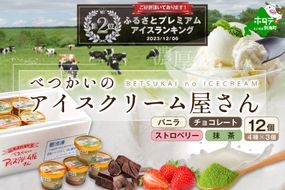 ランキング２位獲得！北海道産 べつかいのアイスクリーム屋さん 120ml 12個入（4種×各3個）【BN0000014】（A-07）