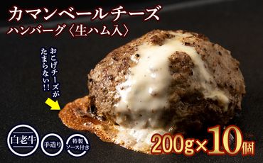 北海道産 白老牛 カマンベールチーズハンバーグ 10個セット 冷凍 チーズ イン ハンバーグ　BY066