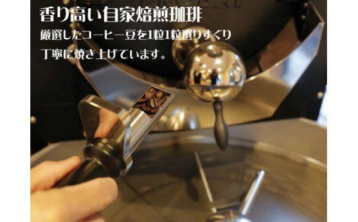 ストレートコーヒー豆定期便（１年間）　１ヶ月１袋発送　200ｇ×12袋セット