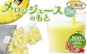 【2回定期便】メロンジュースのもと 約800ｇ 約165g×5パック - 国産 マスクメロン 完熟 飲み物 飲料 甘い フルーツジュース ジュース スムージー カットメロン アレンジ Wtn-0033