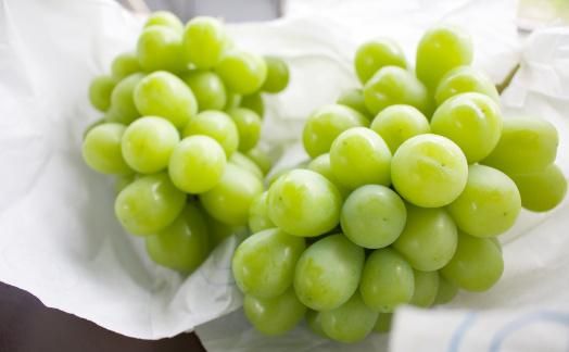 ★2026年7月下旬より順次発送★朝採りシャインマスカット（3～4房入り） 232238_C019-PR