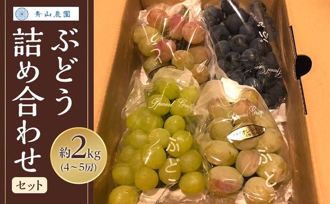 【先行予約】【数量限定】 ぶどう 詰め合わせセット 約2kg 〔2026年8月上旬より順次発送〕 232238_CU001-PR