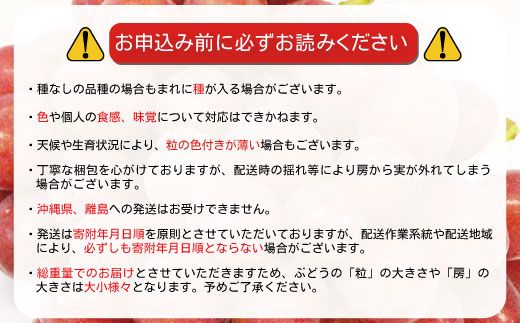 クイーンルージュ® 約1kg（約1～3房）《黒岩果樹園》■2024年発送■※9月上旬頃～10月中旬頃まで順次発送予定