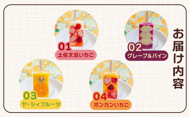 【２回定期便】手作りアイスキャンディー １２本セット - 氷菓 果物 フルーツ アイスキャンディー 冷たい つめたい 詰め合わせ お楽しみ 食べ比べ おやつ デザート スイーツ Wys-0017