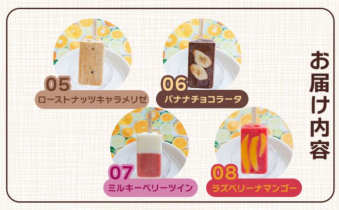 【２回定期便】手作りアイスキャンディー １２本セット - 氷菓 果物 フルーツ アイスキャンディー 冷たい つめたい 詰め合わせ お楽しみ 食べ比べ おやつ デザート スイーツ Wys-0017