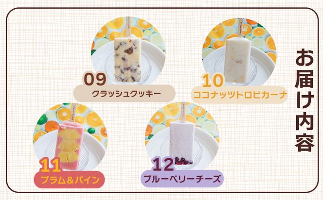 【２回定期便】手作りアイスキャンディー １２本セット - 氷菓 果物 フルーツ アイスキャンディー 冷たい つめたい 詰め合わせ お楽しみ 食べ比べ おやつ デザート スイーツ Wys-0017