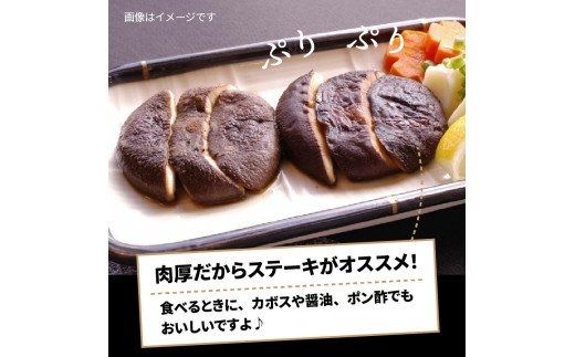 国東しいたけ「香ちゃん（極上品300g）」※桐箱入り_29030B