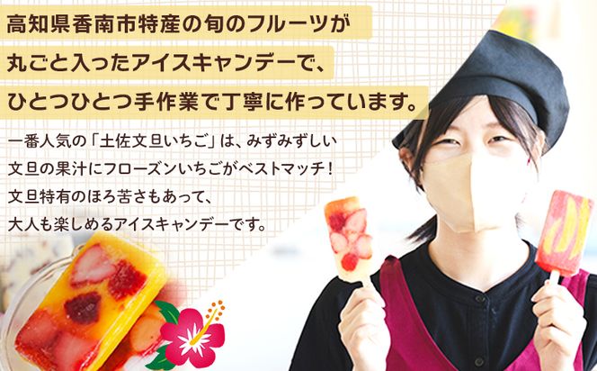 手作りアイスキャンディー 土佐文旦いちご ６本セット - スイーツ デザート おやつ お菓子 果物 フルーツ アイスバー ギフト お礼 贈り物 のし対応可 高知県 香南市 冷凍 ys-0019