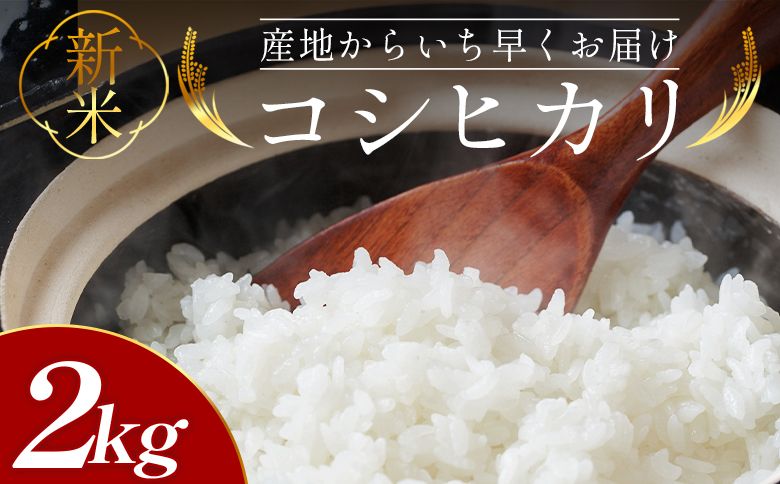 新米コシヒカリ 2kg - 新米 お米 おこめ 国産 米 精米 ひのひかり ごはん 白米 ご飯 おにぎり おむすび 料理 調理 高知県 香南市 常温 at-0031